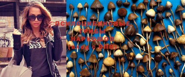 ALPHA PVP Осташков