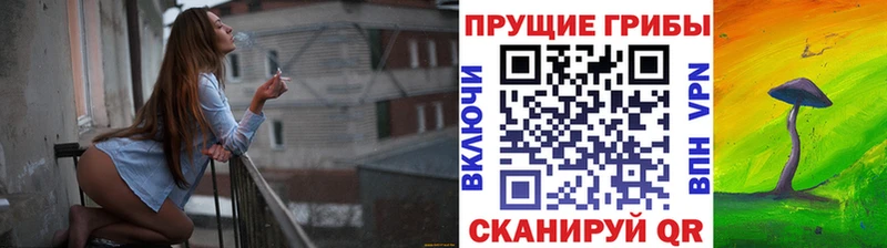 Псилоцибиновые грибы Cubensis  гидра зеркало  Полярный 