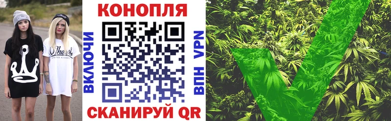 Каннабис SATIVA & INDICA Полярный